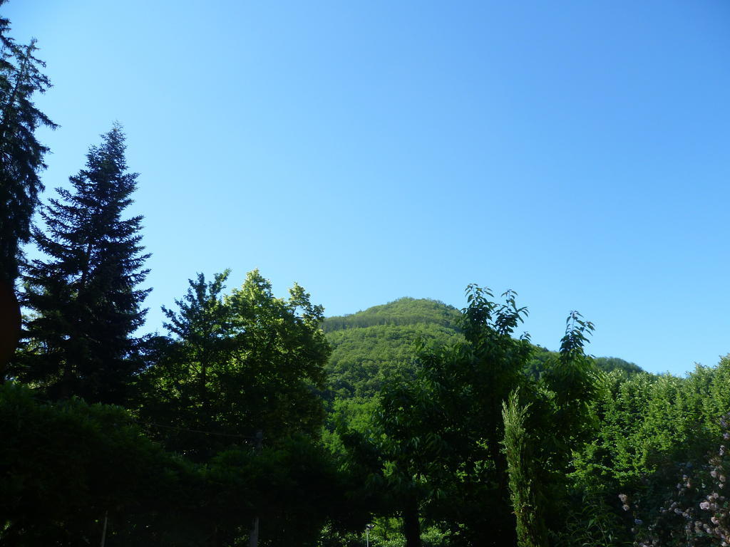 Villa Lucchesi Bagni di Lucca Eksteriør bilde